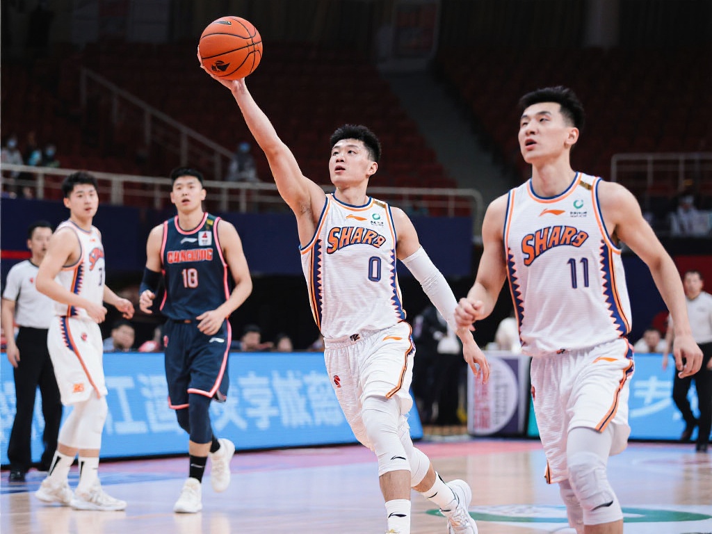 测试和审核 测试和审核